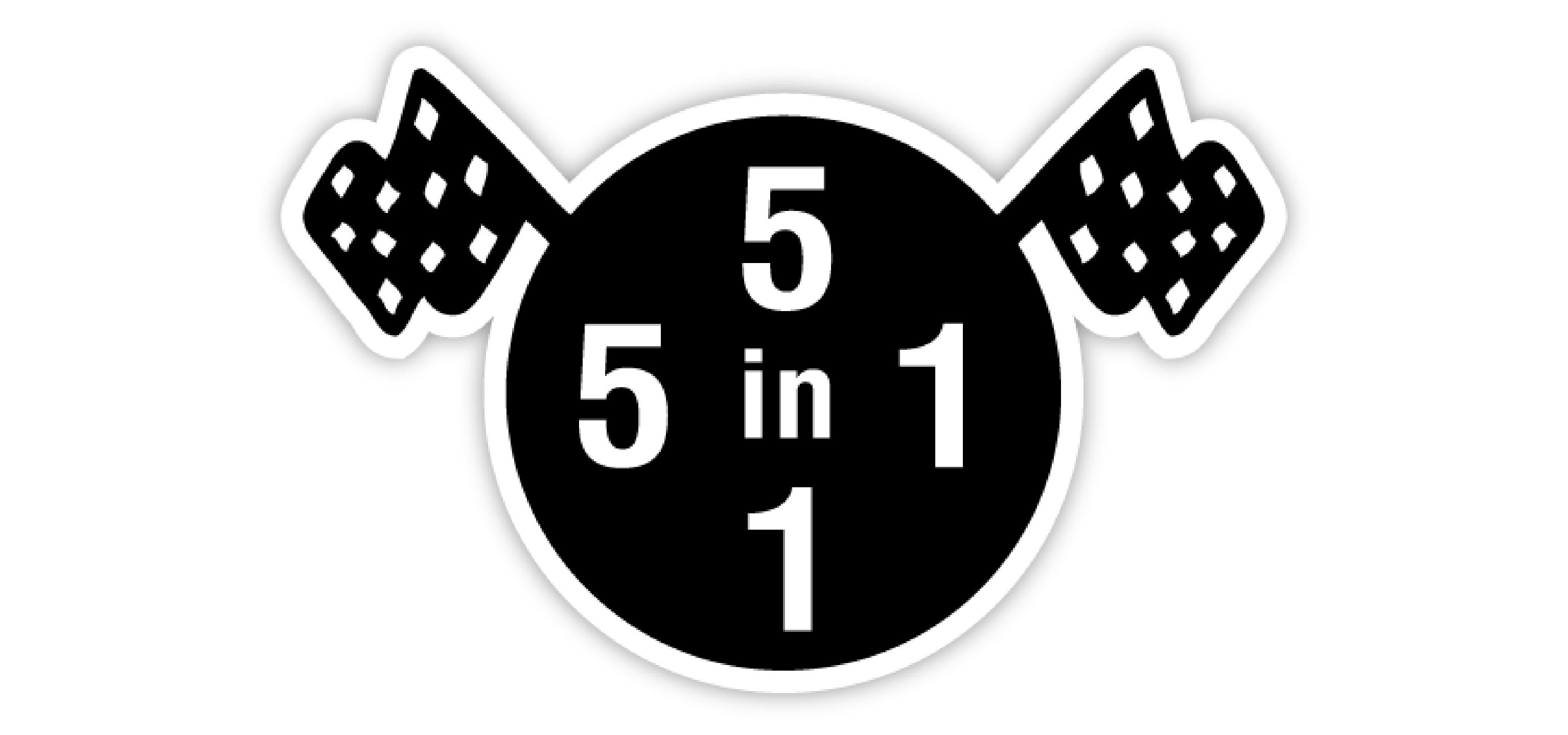 5in1