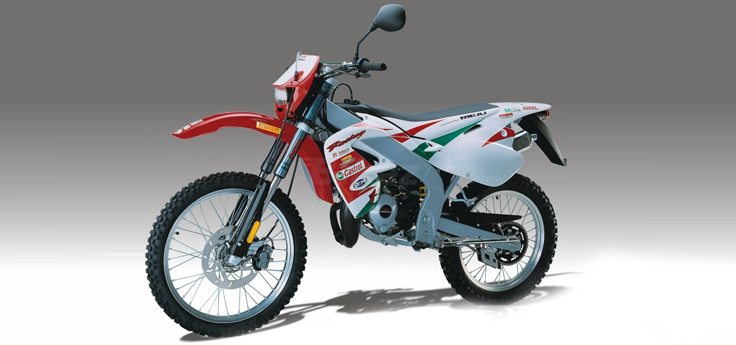 Onderdelen Rieju MRX castrol 2001 2-Takt