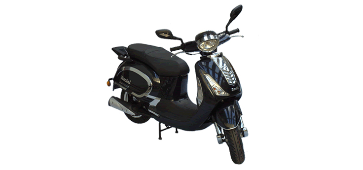 Berini Classic (12 inch)
