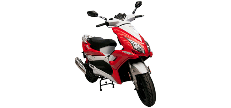 Berini Striker III (12 inch)