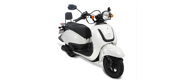 Onderdelen Eagle-Wing Torino wit zwart