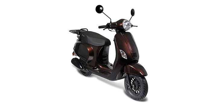 Onderdelen Eccho VPX 50 Euro2 bruin