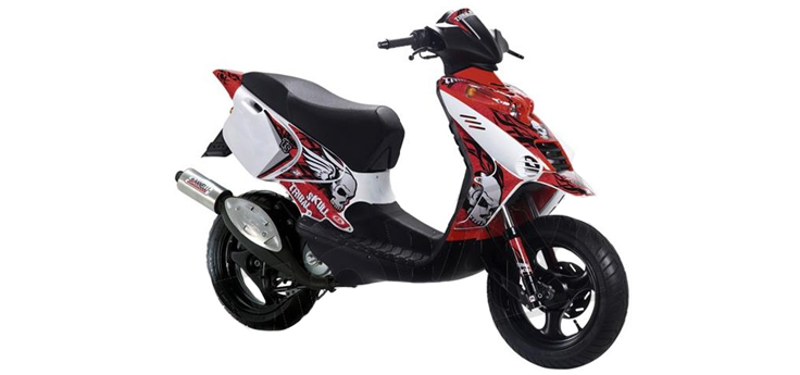 Onderdelen Beta Ark LC skull 2010 2-takt