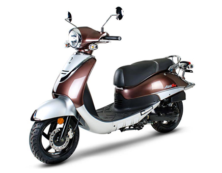 Sym Allo GT (LX17348 S882U) chestnut silver