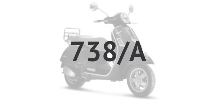 Vespa GTS 250 ie 2005-2009 (met ABS) grey excalibur 738/A