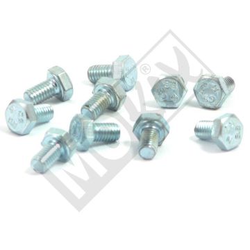 Bout M6x10mm 8,8 10 stuks