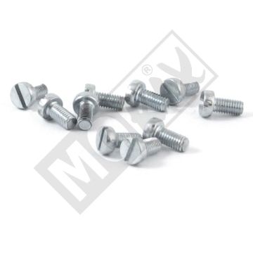 METAALSCHROEF M5x10 ELVZ    10st