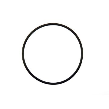 55X2 O-RING XCITING 500I origineel