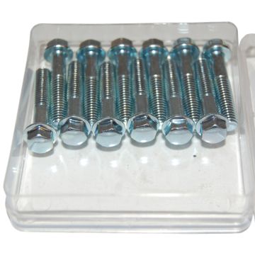 Bout zeskantant 8mm kop m6x40mm 12 stuks