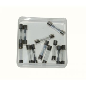Buiszekering glasbuis 15 Ampere 32mm lengte 12 stuks