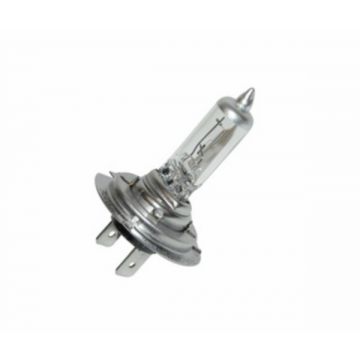 Lamp PX26d H7 12V 55W +50%