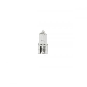 Lamp W10W T10 12V 10W