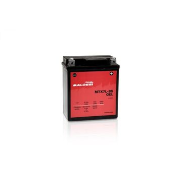 Accu MTX7L-BS SLA gel Malossi 4418919