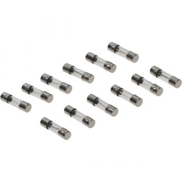 Zekering model buis 25mm 10amp 12 stuks
