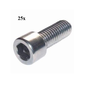 Inbusbout m6x12mm 25 stuks