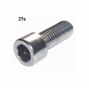 Inbusbout m6x20mm 25 stuks-135363