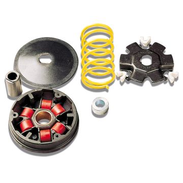 Variateurkit -Malossi Multivar 2000- Honda 50 2-takt - Dio SP/Dio SR/Vision 50/Vision Met In 50/Wallaroo/Peugeot Rapido/ST50 517073