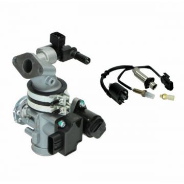 Gasklep + injectie systeem compleet Rongmao China GY6 zonder ECU DMP