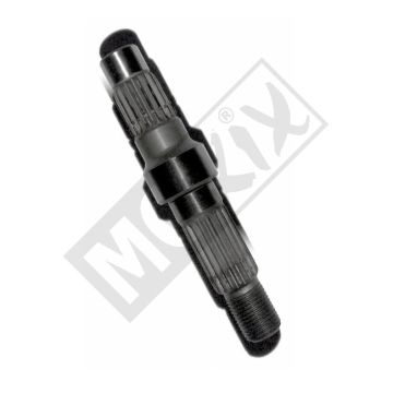 UITGAANDE AS KY  FILLY       ORG