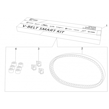 Kit v-snaar - Variateurrollen Piaggio Fly 125 IE 4-takt 3V Euro 3