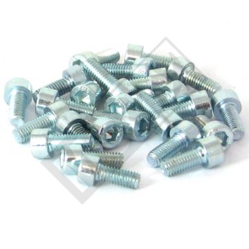 Inbus-bout M5x10 ELVZ 25 stuks