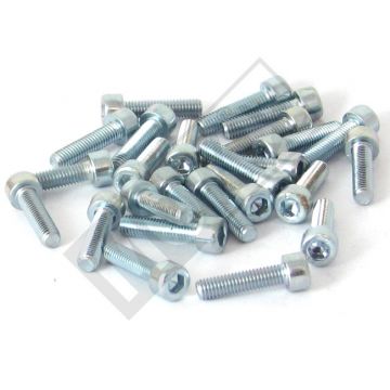 Inbusbout M5x20mm lengte  25 stuks