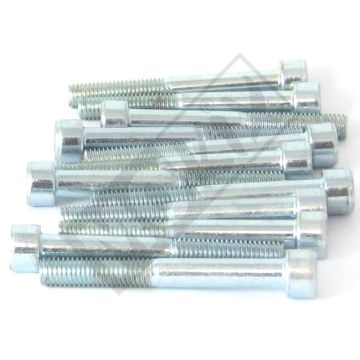 Inbus-bout M8x65 12 stuks