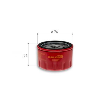 Oliefilter -Malossi Red Chilli- BMW C Sport/C GT/CX 400-650/Kymco AK 550 317897
