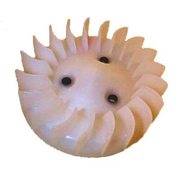 Koelvin vliegwiel Minarelli