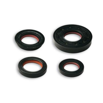 Keerringset Minarelli horizontaal+verticaal Malossi 6615754