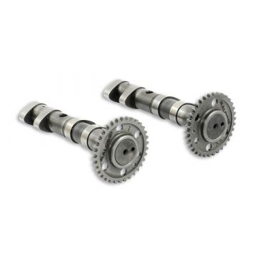 Nokkenas set Yamaha T-max 530 Malossi 5915981