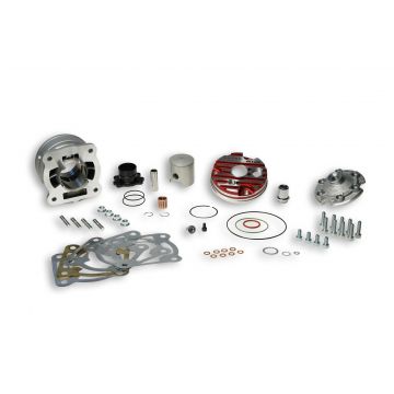 Cilinder met cilinderkop -Malossi MHR Testa Rossa Flensmontage 70 cc (39/2 mm slag) - Gilera/Piaggio 50 LC 2-takt 3115901