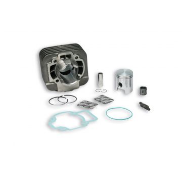 Cilinder Piaggio/ Vespa 50cc 40mm AC 2-takt 318519 Malossi