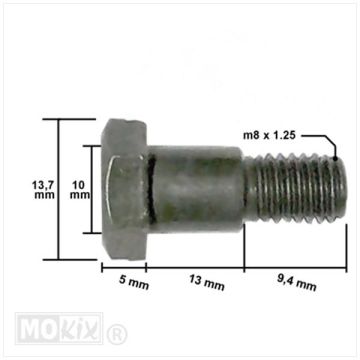 Bout zijstandaard M10x1,25x40mm type China Jet Ten/Lintex Jet Ten/HT50QT-39 MKX/BTC Jet/Turbho CX