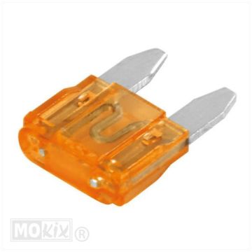 Steekzekeringen mini 10.9 X 3.8 5 ampère 100 stuks Lampa