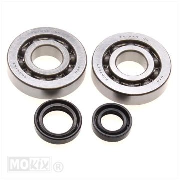 Lager/keerringset Peugeot verticaal E1 NTN Speedfight 1-2/TKR/Buxy/Speedake/Looxor/Elyseo/Elystar/Vivacity 1-2/Trekker/Zenith/SV/SC