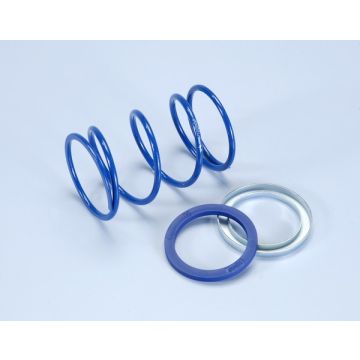 Koppelingsdrukveer -Polini Evo-Slider- Piaggio-Vespa/Piaggio 50 2/4-takt 2V/3V/4V/Iget/100cc 4-takt - diameter =3/9mm minus 30 procent 243.090