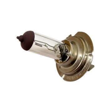 Lamp PX26d H7 12V 55W-40181
