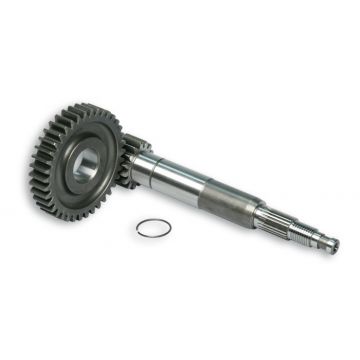 Overbrengingset primair Piaggio/Gilera MC3/pow/pure/Runner/SR piag 15/38 tands Malossi 6713339