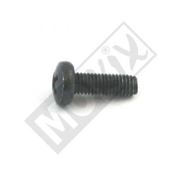 Bout M5x15mm Piaggio onder andere luchtinlaat carterdeksel 50 4-takt 2V-3V-4V/50 2-takt/Zip/Primavera/LX/LXV/S/ET4/Scarabeo/Typhoon/NRG/Liberty/Fly/Storm/Runner/Sportcity One/Mojito 435295 origineel