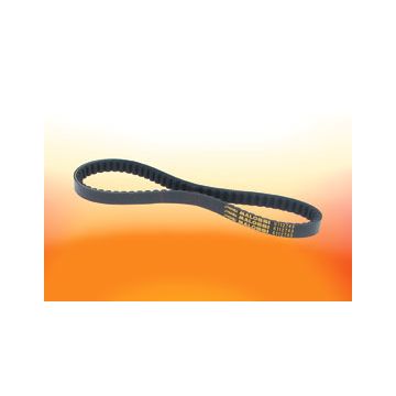 V-snaar - Malossi Aramid Overrange (782x18mm)Minarelli 50 lang carter SR/Amico/Area/Gulliver/Rally/Scarabeo/491/Ark/Dragster/F12-15/Booster/Flipper/Mach/Nitro/Ovetto/Stunt/Aerox/BWS/Jog/Slider/Spy/Neos  6115822
