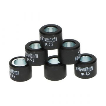 Variateur rollenset 19x15.5 Polini