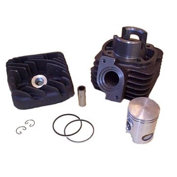 Cilinder met cilinderkop -Malossi 50 Sport- Peugeot AC verticaal - Buxy/Elyseo/Elystar/Looxor/Speedake/Speedfight 1-2/Squab/TKR/SC/Vivacity/Trekker/Zenith/SV
