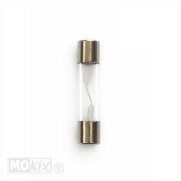 ZEKERINGEN BUIS 10ampere 25mm p/100