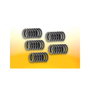Drukveer koppeling set Derbi GPR/GSM/Senda Malossi 2912018 5 stuks