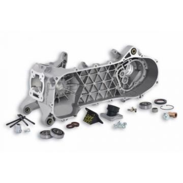 Carterset -Malossi C-One- Gilera/Piaggio lang 50 2-takt ac/lc zonder elektrische start/10inch/12/13inch  5715844