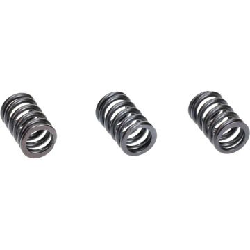 Klepveer set Piaggio 50cc 4-takt Iget 3V Euro 5 2021→ Zip/Primavera/Sprint/Liberty Polini 228.0133 3 stuks