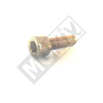 PEU SCHROEF M8x1.25-25 5 stuks