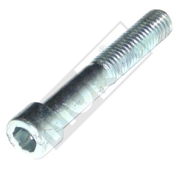 PEU SCHROEF M10x1.5-62