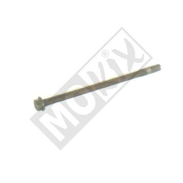 PEU SCHROEF M6x100